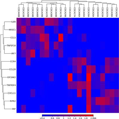 Differential gene expression of immunity and inflammation genes in colorectal cancer using targeted RNA sequencing